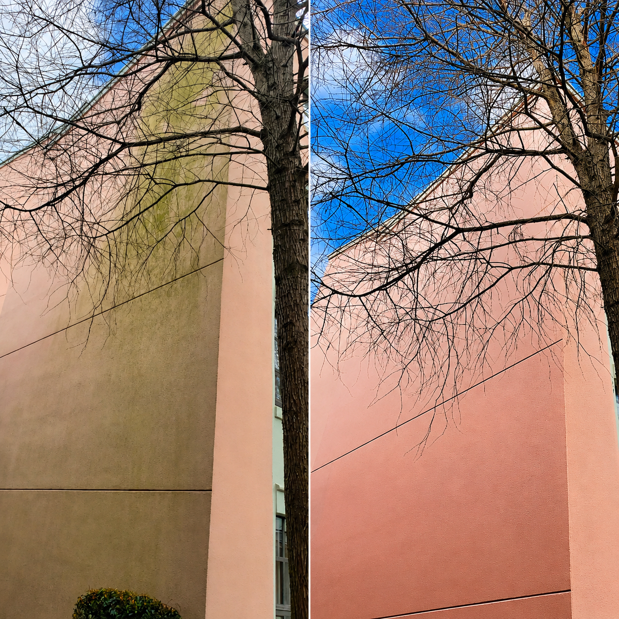 Commercial building soft washing in Greater New Orleans