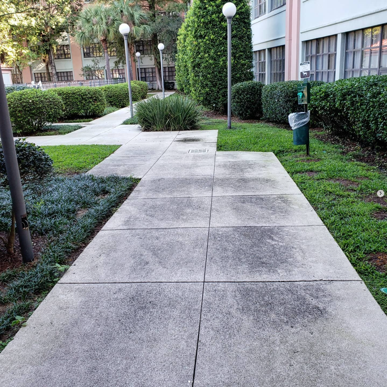 Commercial walkway before concrete surface cleaning